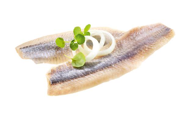 Warmelo & van der Drift DF MSC Dutch Matjes Fill.3,1/2,5kg 3100 G/BU