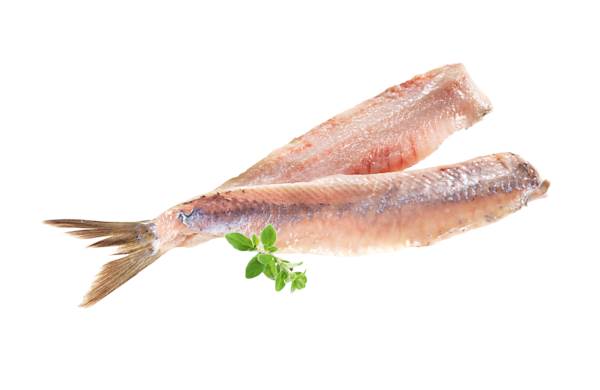 TK MSC Matjes-Doppelfilet, handfiletiert, Holland, 10 Stück, 100g, 1 KG/SH mit Schwanzsegment