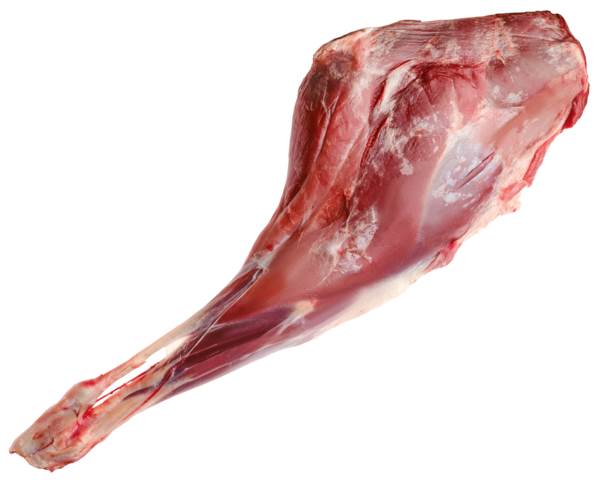 TK DF roe deer leg bone in 1 KG