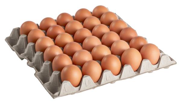 Eier aus Biohaltung, HKL A, Größe M (53-63g), 180 ST/KT