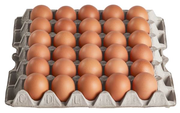 Eier aus Freilandhaltung, HKL A, Größe L (63-73g), 180 ST/KT