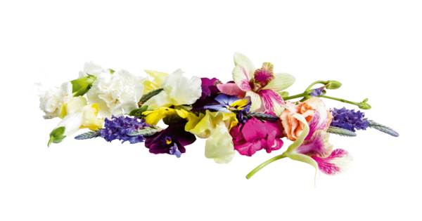F+V Keltenhof Violet flower 15 G/BI