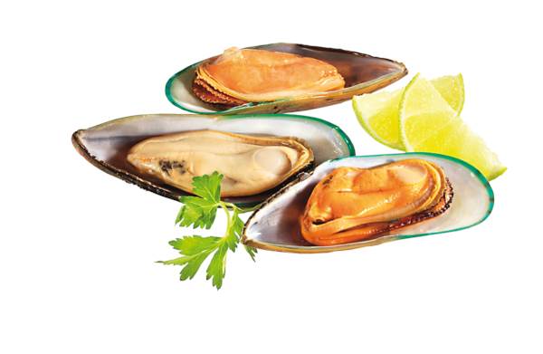 Mr Małże nowozelandzkie na zielonej połówce muszli, IQF, 1 KG/PA