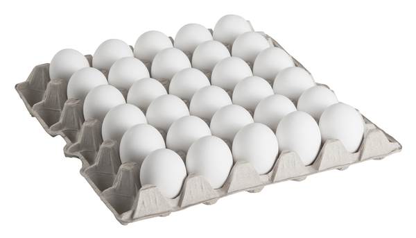 Eier weiß aus Bodenhaltung, HKL A, Größe M (53-63g), 180 ST/KT