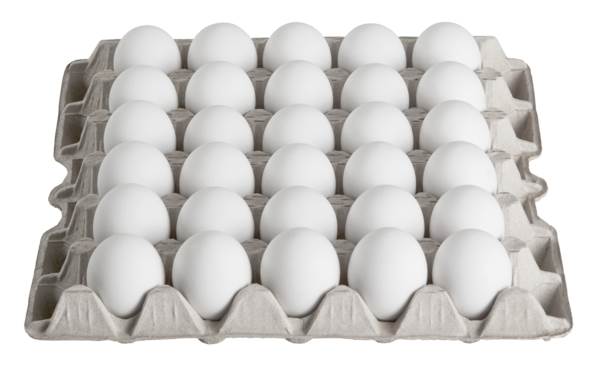 Eier weiß aus Bodenhaltung, HKL A, Größe L (63-73g), 180 ST/KT