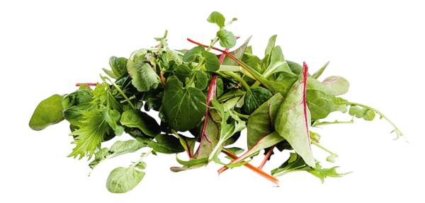 O+G Salatmischung, Wildkräuter, 250g, Mischung aus EG-Gemüse, 0,25 KG/SH Pak Choi rot,roter Salat,Mizuna grün+rot,Tatsoi,Mini-Magold,Landkresse