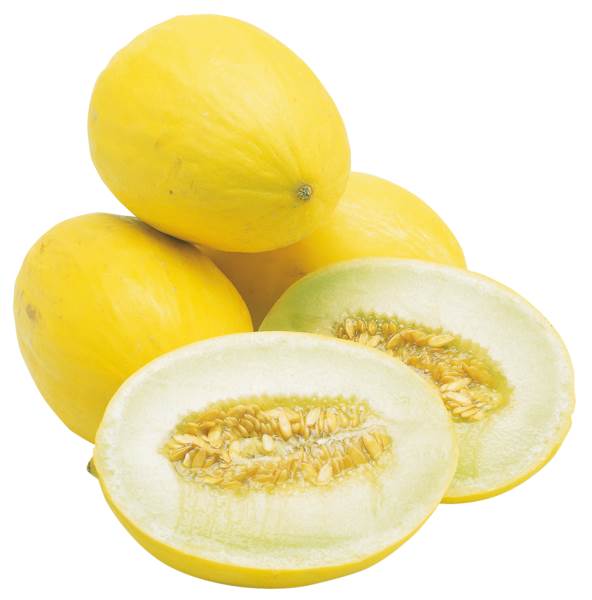 O+G Melone, Honig, 1,5 KG/ST