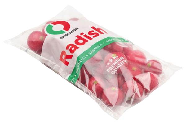 O+G Radieschen, ohne Grün, 1 KG/BT