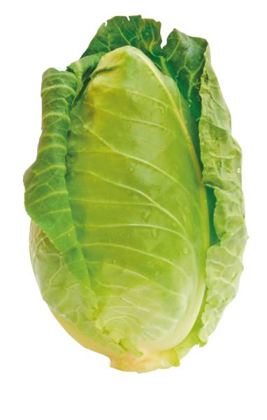 O+G Kohl, Spitzkohl, 1 KG