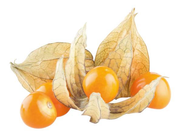 O+G Physalis, 100g Schale, 100 G/PK