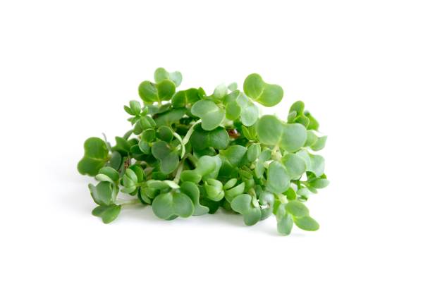 O+G Kräuter, Kresse, 100 G/PK