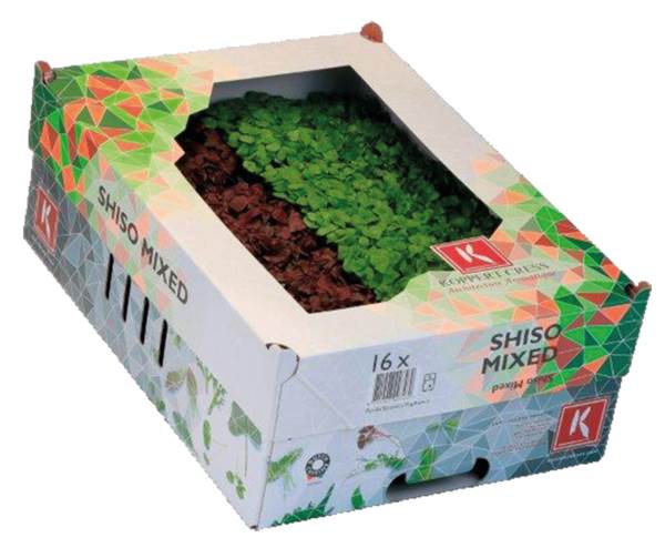 O+G Kräuter, Kresse, Shiso Mix, 16 Schalen, 1,5 KG/KT