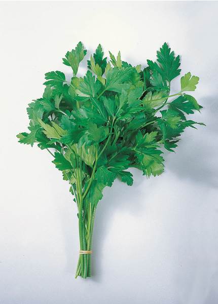 F+V Herbs Parsley Flat 1 KG