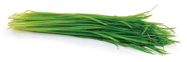 O+G Kräuter, Schnittlauch, 100g Bund, 100 G/BD