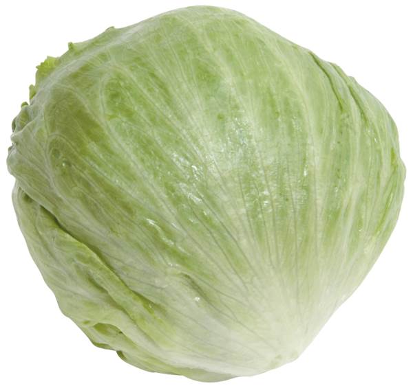 O+G Salat, Eisbergsalat, 400 G/ST