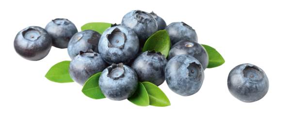 O+G Beeren, Heidelbeeren, 500g, 500 G/SH