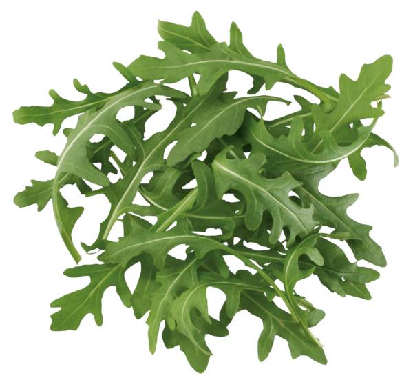 O+G Salat, Rucola, 1 KG/KT