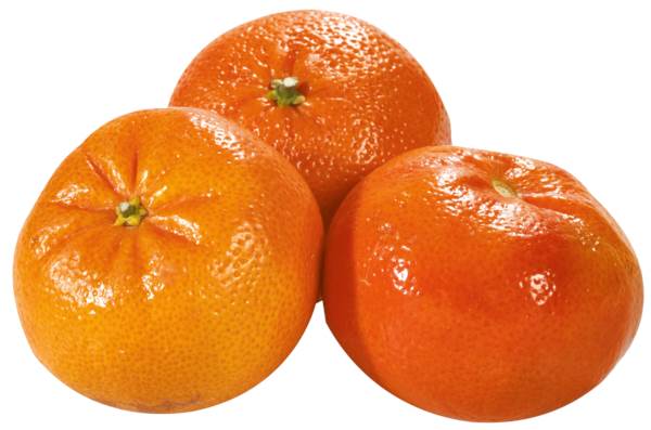 O+G Clementinen klein, ca.120 Stück, 1 KG