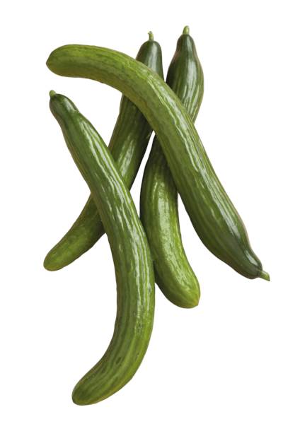 O+G Gurken, krumme Gurken (kg) 1 KG