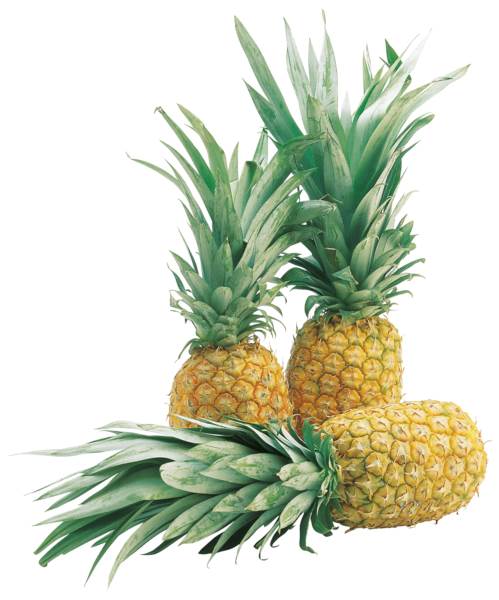 O+G Ananas, Sweet, 7er, 1,4 KG/ST