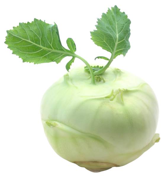 O+G Bio Kohlrabi, 200 G/ST