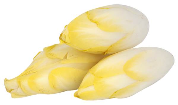 AGF witlof, maat 11/15 1 KG