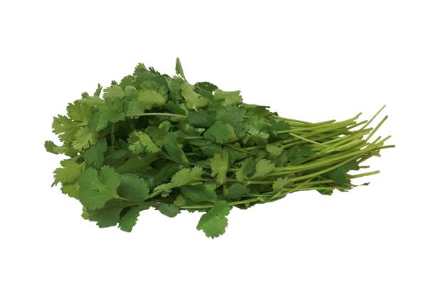 AGF koriander, per hoes 80 GR/ST
