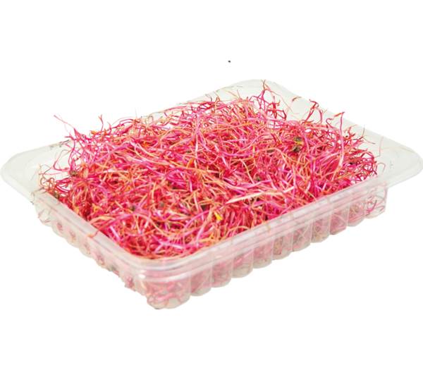 AGF rode bietscheuten, bakje 50 GR/BA