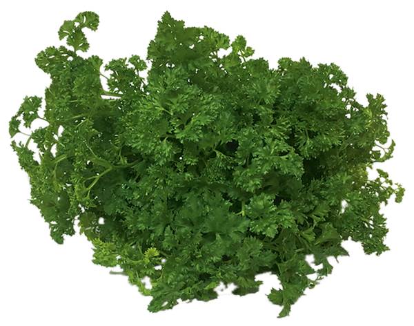 AGF peterselie, per hoes 80 GR/ST