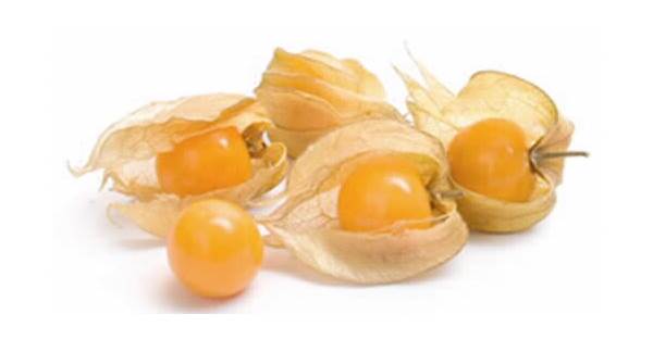 AGF physalis / kaapse kruisbes (bak) 100 GR/BA