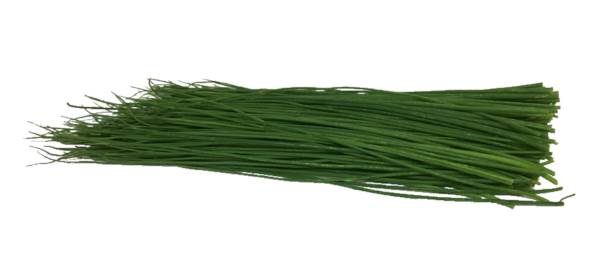 AGF bieslook, per hoes 80 GR/ST