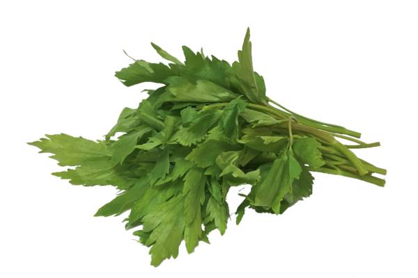 AGF Lavas maggiblad, per hoes 1 ST