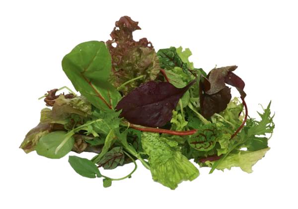 AGF slamix redchard/rucola (zak) 250 GR/ZK