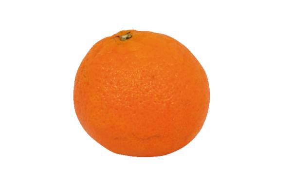 AGF mandarijn groot 1 ST