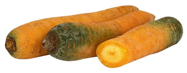 AGF gele winterpeen 1 KG