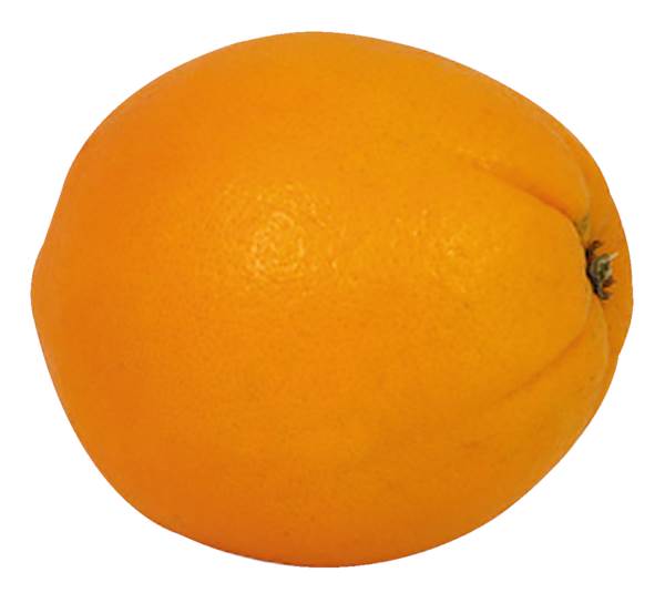 AGF handsinaasappel maat 70 1 ST