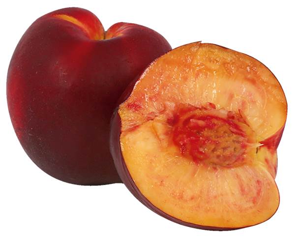 AGF nectarine 1 ST