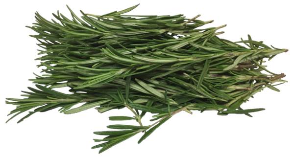 AGF rozemarijn, per hoes 80 GR/ST