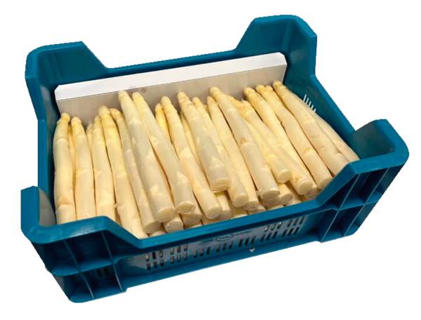 AGF ongeschilde asperges, klasse AA 1 KG