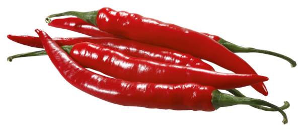 O+G Bio Peperoni, rot, 1 KG