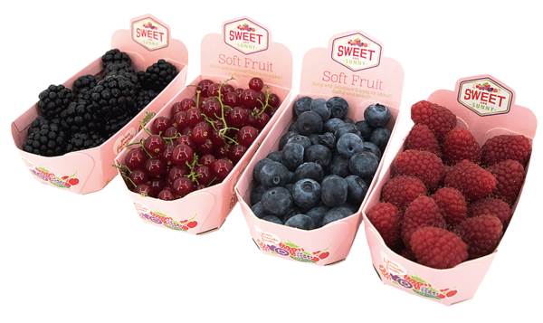 O+G Beeren, Beeren-Mix, 125g, 125 G/SH Brombeeren/Himbeeren/ Heidelbeeren/Johannisbeeren