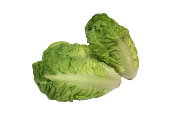 AGF little gem sla 6 ST/PK