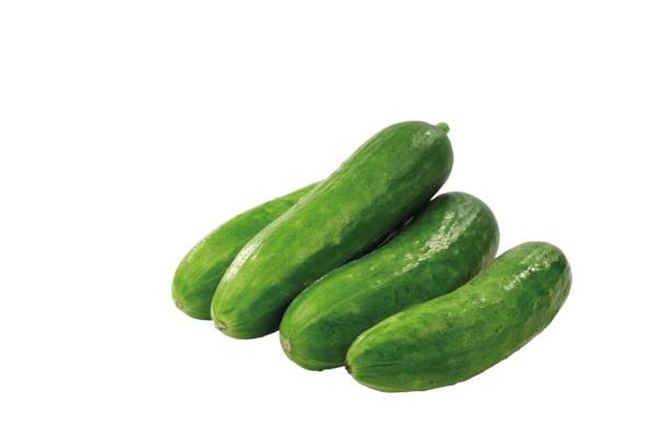F+V Cucumbers Snack cucumber 1.5 KG/CT