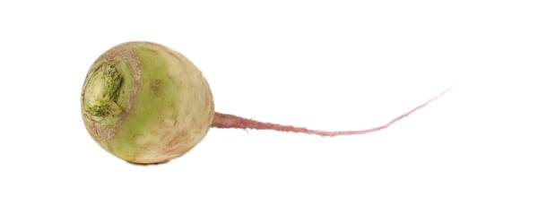 AGF red meat radish 1 KG