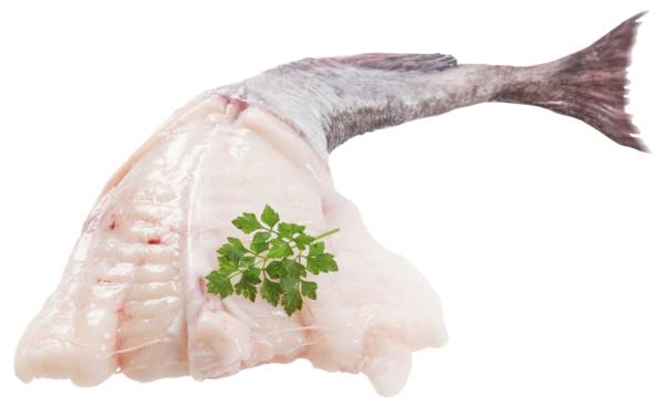 Havtaskehaler, Lophius piscatorius, 1-2 kg