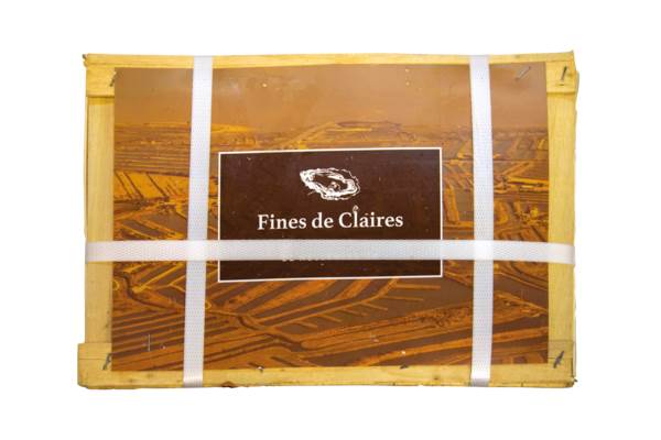 fine claire cap horn oesters, nr.3 36 ST/KR