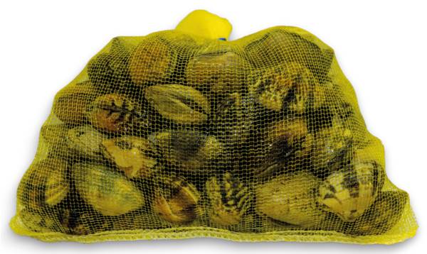 Fr. Venusmuschel (Vongole) 1kg