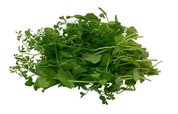 AGF crazy pea/ salad pea, bakje 110 GR/BA