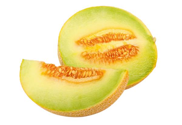 AGF galia meloen, maat 6 1 ST