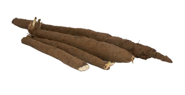 AGF schorseneren 1 KG/ZK